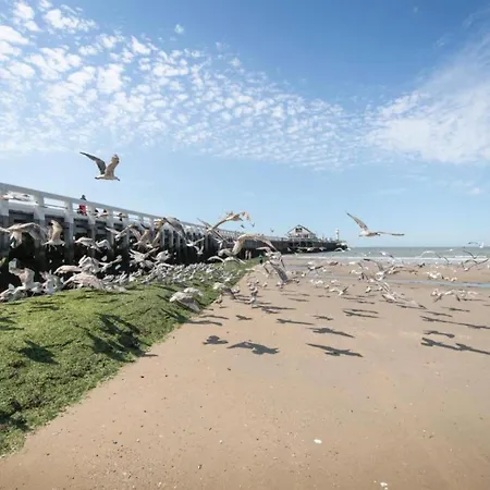 In Near Tennis Club Blankenberge