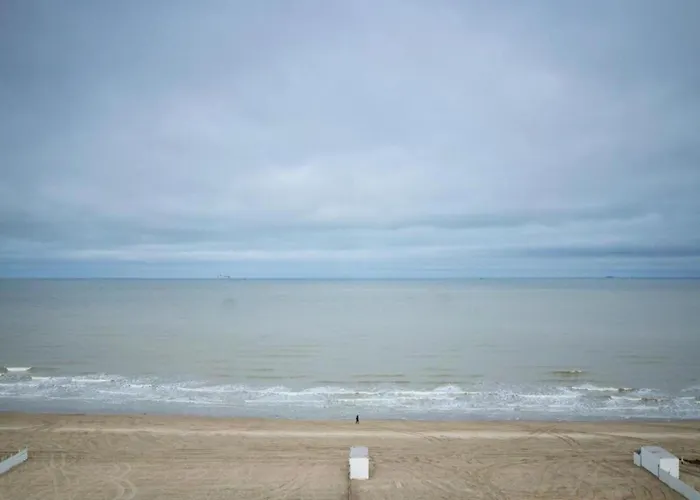 Apartment In Near Tennis Club