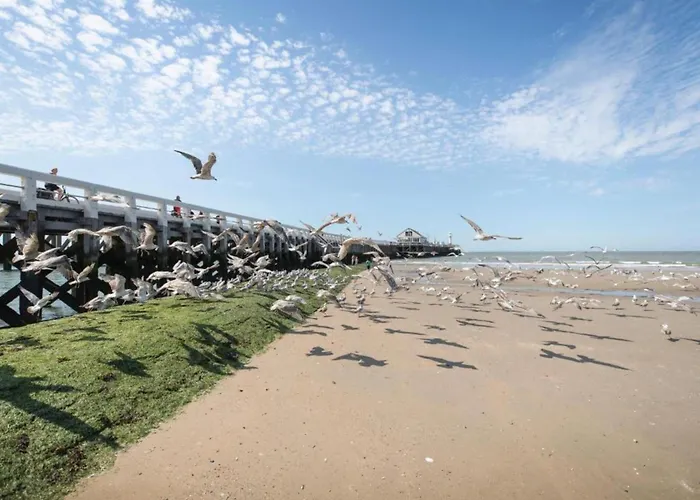 In Near Tennis Club Blankenberge