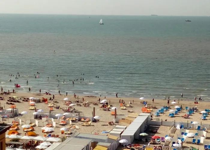 Apartment In Near Tennis Club Blankenberge